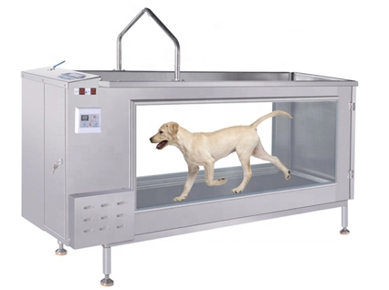 PJ-1901 CE disetujui hewan hidro di bawah air Treadmill untuk anjing