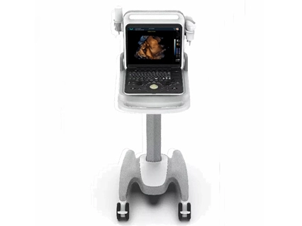 Mesin b-ultrasound kecil dokter hewan
