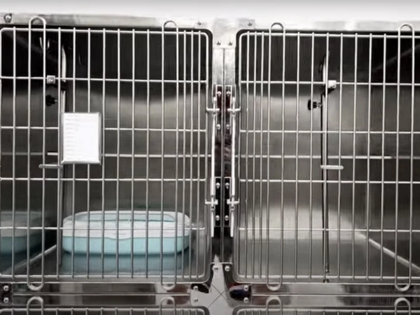 PJML-02 4 pintu baja tahan karat pemulihan hewan kandang kucing